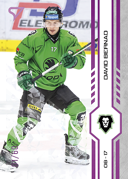 David Bernad Mlada Boleslav Tipsport ELH 2024/25 SportZoo 2. serie Purple Iceberg /60 #350